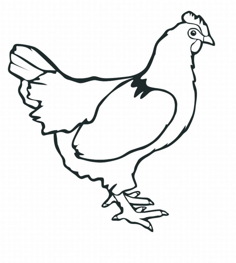 desene de colorat gaina